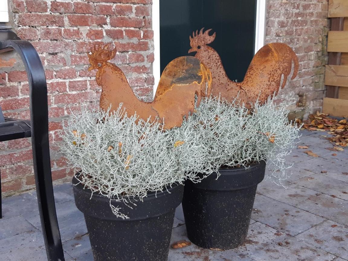 PaesensWaddenfestijn别墅 外观 照片